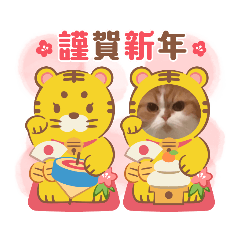 [LINEスタンプ] 2022  うちの子たち！ドンのぶボム