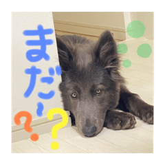 [LINEスタンプ] ユーラとアウラ