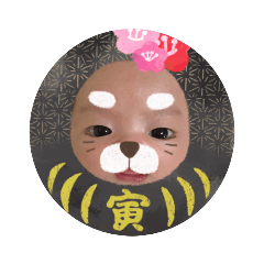 [LINEスタンプ] 心輝
