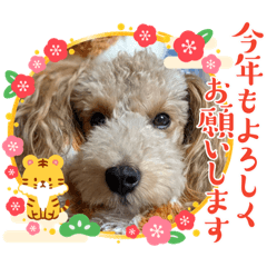[LINEスタンプ] ムクリん6