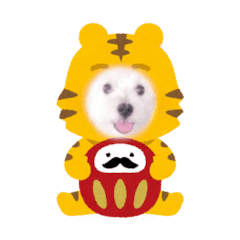 [LINEスタンプ] 白犬ウエスティ_年末年始,冬のご挨拶