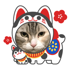 [LINEスタンプ] ほたるスタンプ4号