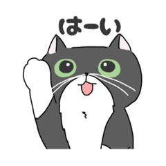 [LINEスタンプ] 長ひげのクロの2ばんめ