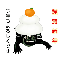 [LINEスタンプ] 亀ってなんてかわいいの♥️6