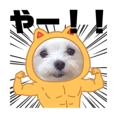 [LINEスタンプ] ぷあさんスタンプ1