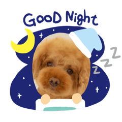 [LINEスタンプ] ちゃちゃまるくんとなぎ