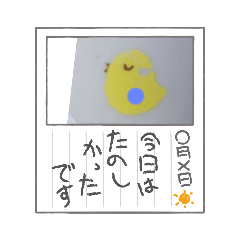 [LINEスタンプ] ひよこスタンプSTAMP