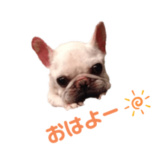 [LINEスタンプ] グリコV2