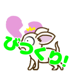 [LINEスタンプ] 一年中使えるわんこのエフェクトスタンプ