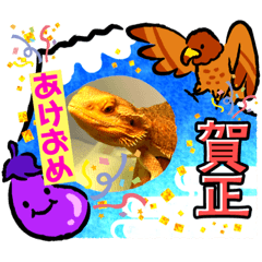 [LINEスタンプ] 我太郎ちゃんの『年末年始ご挨拶』スタンプ