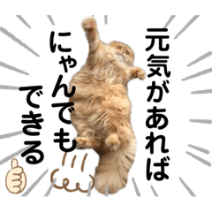 [LINEスタンプ] 龍吉がゆく2