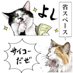 [LINEスタンプ] 意外と使える【省スペース】リアル猫