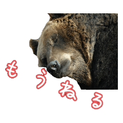 [LINEスタンプ] リアル動物日常使えるスタンプ