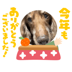 [LINEスタンプ] ちゅりんぼあけおめ