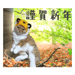 [LINEスタンプ] きなことあんこ9