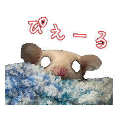 [LINEスタンプ] フクロモモンガのこももの日常スタンプ2