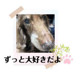 [LINEスタンプ] ちゅりんぼだもの