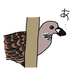 [LINEスタンプ] かわいい野鳥の楽しいつぶやきにほっこり