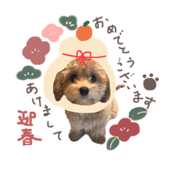 [LINEスタンプ] ちわぷーのちまきちゃん