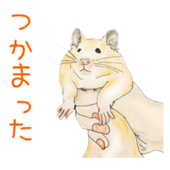 [LINEスタンプ] キンクマハムスターのはむ