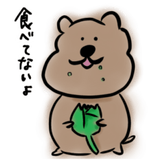 [LINEスタンプ] クオッカワラビーさん