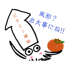 [LINEスタンプ] イカの気持ち꒳ °๑ᔨ new！