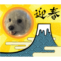 [LINEスタンプ] ぽぷましておめでとう