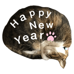 [LINEスタンプ] ごえもん日和。15