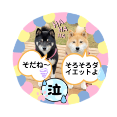 [LINEスタンプ] Tumuさんの日常 友達と一緒①の画像（メイン）