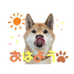 [LINEスタンプ] らいちゃん③