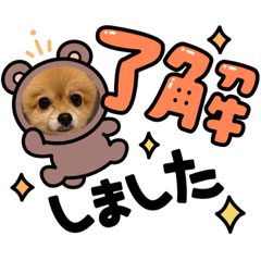 [LINEスタンプ] ポン太と桃の日常