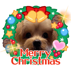 [LINEスタンプ] プギーモコクリスマス新年ご挨拶スタンプ