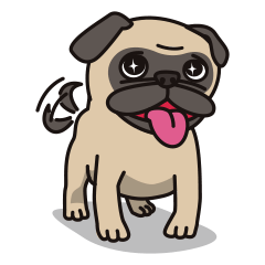 [LINEスタンプ] Cute pug dog cocoro