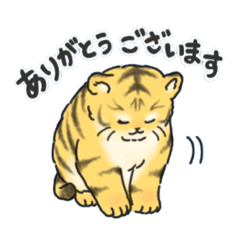 [LINEスタンプ] 日常で使いやすいぞ！ゆるいとらスタンプ