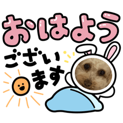 [LINEスタンプ] ♡トイプードルの日常♡