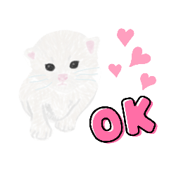 [LINEスタンプ] 白ねこの日常挨拶。モフモフ仔猫。