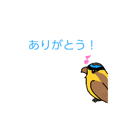 [LINEスタンプ] いろんな鳥さんスタンプ！