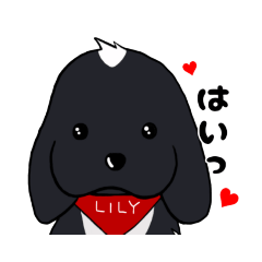 [LINEスタンプ] リリーちゃん1【女の子のシンプル返信】犬