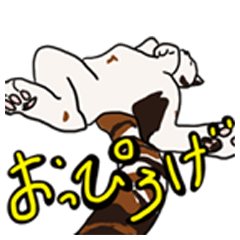 [LINEスタンプ] わが家のネコすたんぷ2