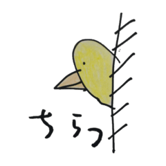 [LINEスタンプ] ピヨ美ちゃんの日常