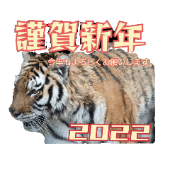 [LINEスタンプ] リアル動物日常使えるスタンプ＆2022正月