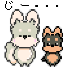 [LINEスタンプ] ヨーキーなサンちゃん