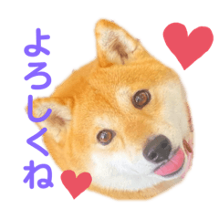 [LINEスタンプ] Tumuさんの日常④
