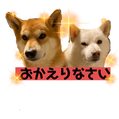 [LINEスタンプ] ひろしとみつこ