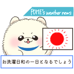 [LINEスタンプ] ふわふわポメ子の天気予報スタンプ