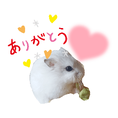 [LINEスタンプ] 食いしん坊ハムスタースタンプpart2