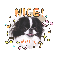 [LINEスタンプ] 狆ちろ可愛い～言葉