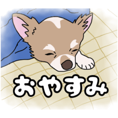 [LINEスタンプ] チワワのココちゃんとネオちゃんのスタンプ