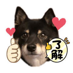 [LINEスタンプ] Tumuさんの日常 友達と一緒②
