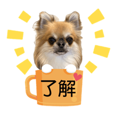 [LINEスタンプ] ともちん_20220104103746
